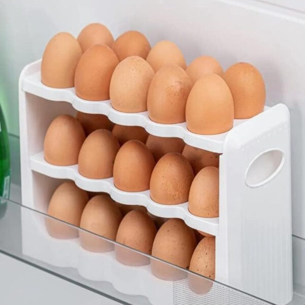 Organizues plastik për vezë